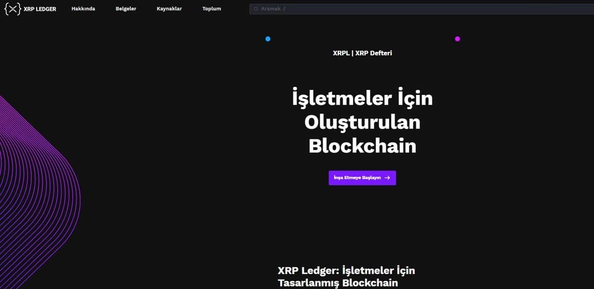 XRP Fiyat Tahmini- Ledger