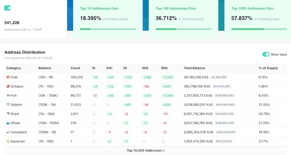 Kaspa coin nedir cüzdanlar