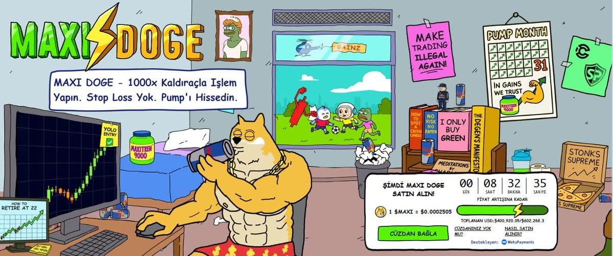 Maxi Doge Nasıl Alınır? Coin Hakkında Herşey