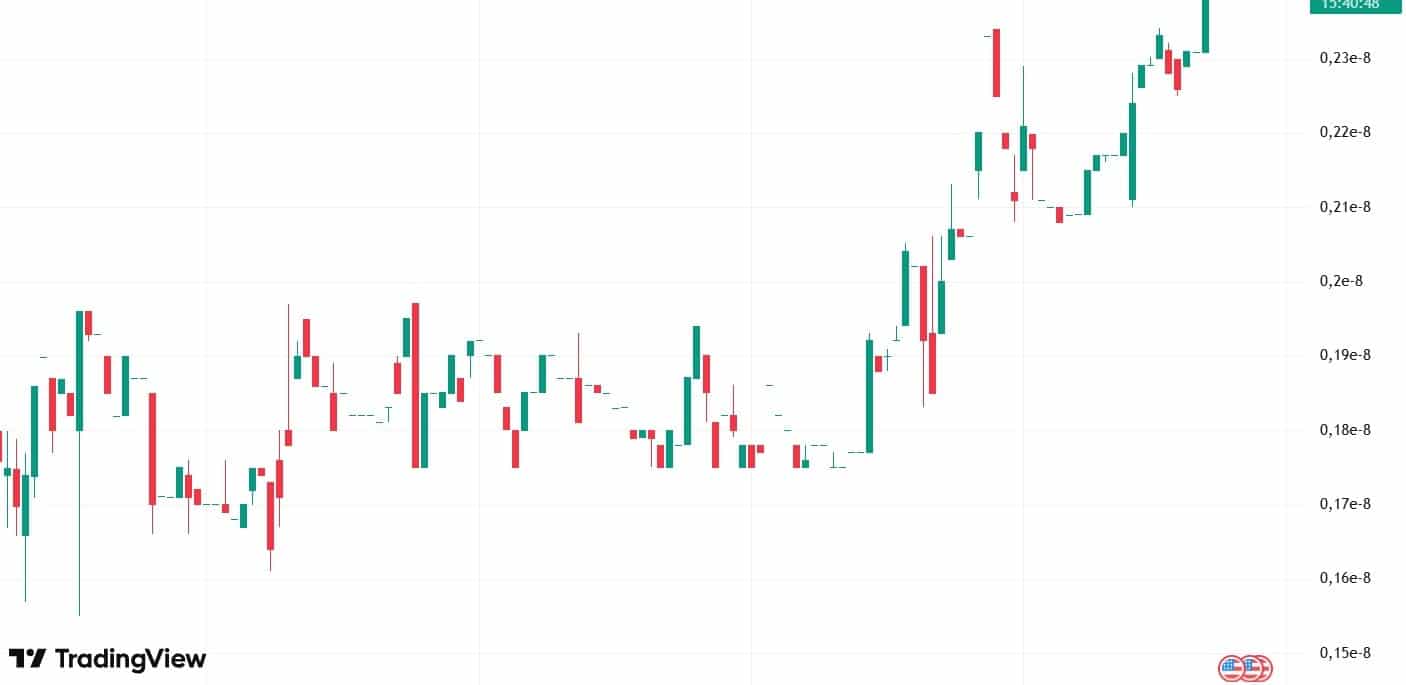 Tradingdoge