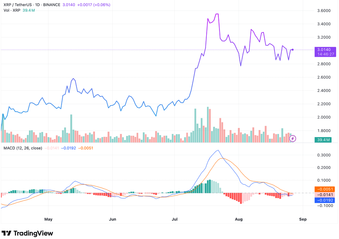 XRP Karşıtından Çarpıcı Öngörü: Hedef 4,761 Dolar!