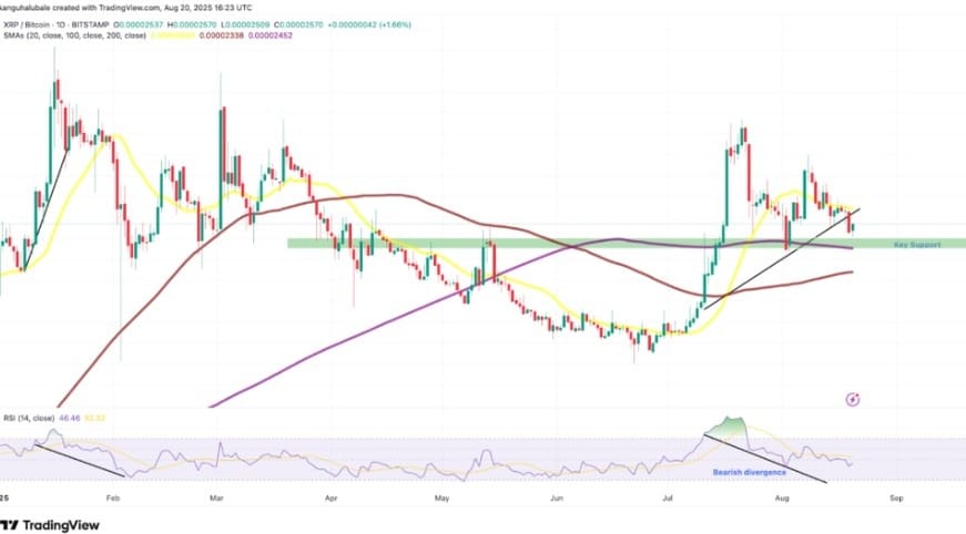 xrp aylık grafik