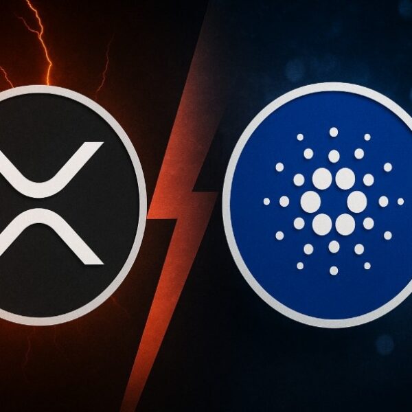 XRP ve Cardano Ortaklığı: Şok Eden Gerçek Ortaya Çıktı – Yatırımcılar Ne Bilmeli?