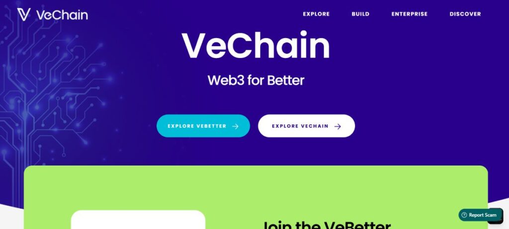 Vet coin yorum - Vet Coin nedir?