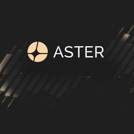 Aster: Hızlı Yükselişin Arkasında CZ Faktörü