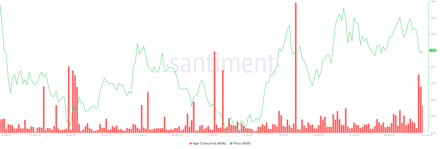 Cardano’da Çift Tepe Sinyali: Balinalar 460 Milyon ADA Topladı!