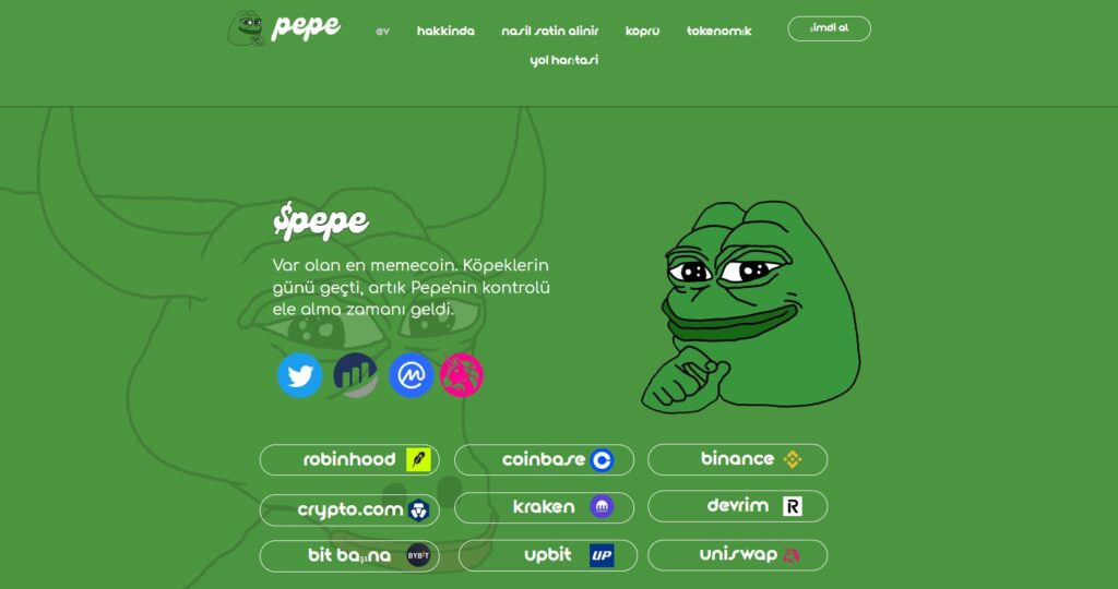 PEPE Coin Nedir?