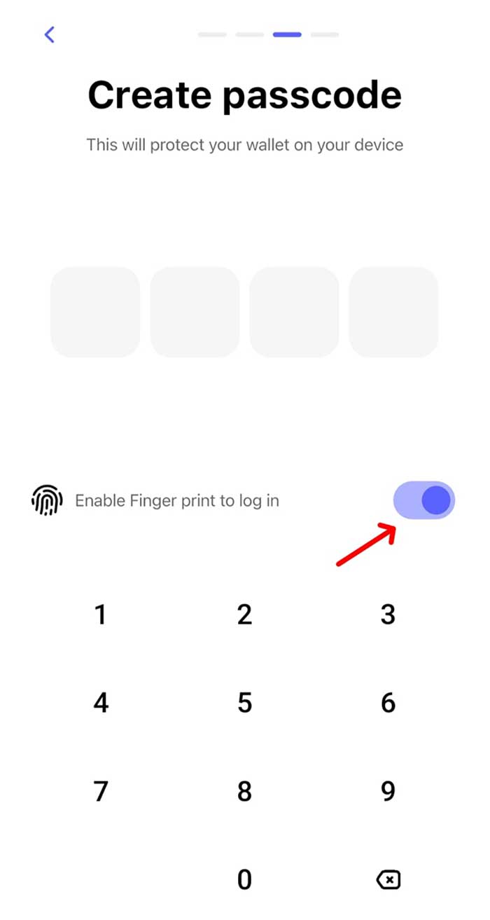 Best Wallet şifre belirleme