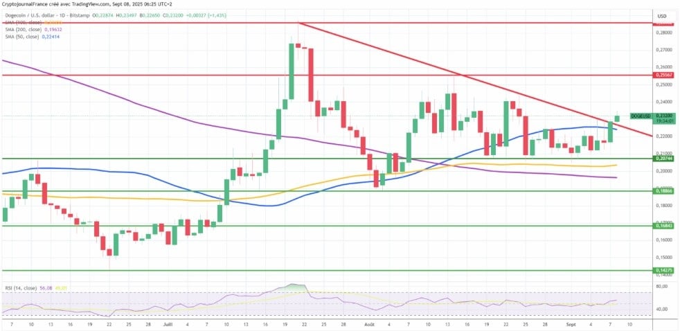 dogecoin fiyat analizi