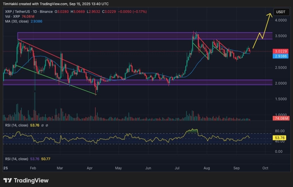 xrp aylık işlem grafiği
