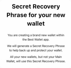 Gizli Kurtarma İfadenizi Kaydedin - Best Wallet