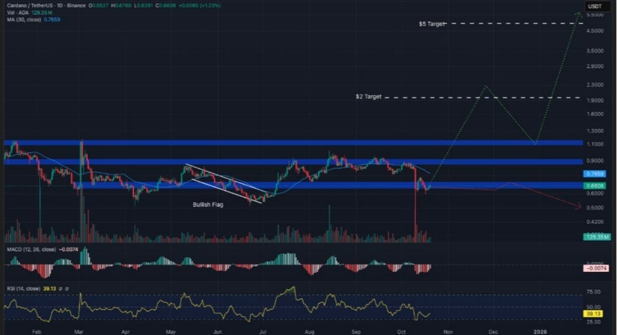 cardano işlem grafiği