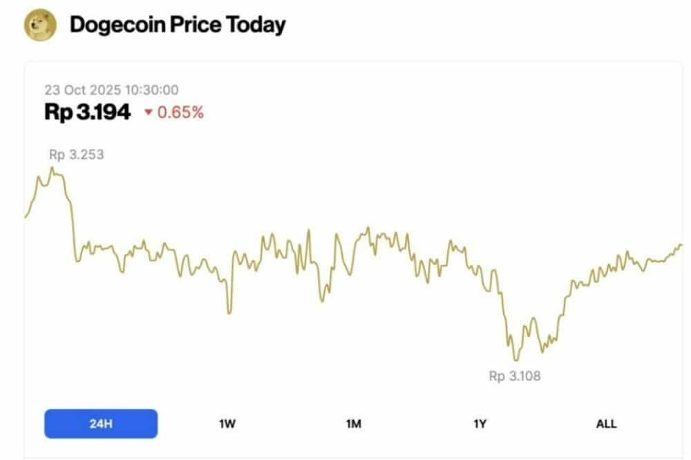 dogecoin fiyat grafiği