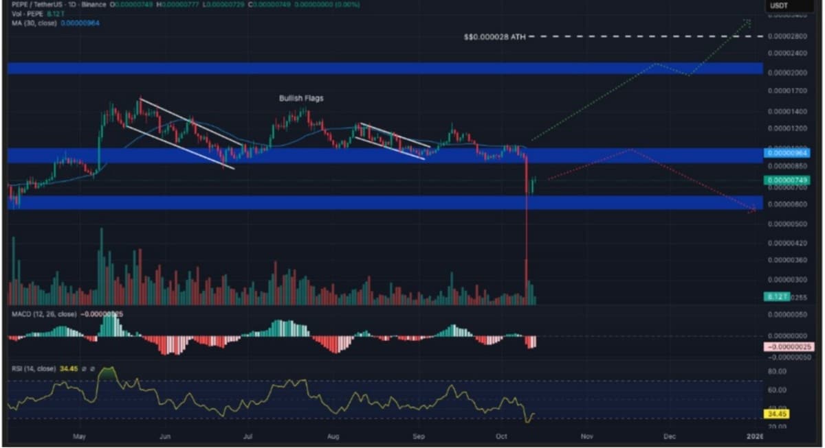 pepe coin teknik işlem grafiği