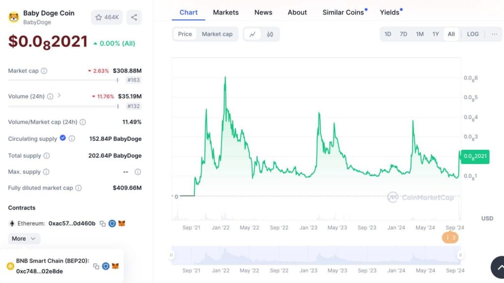 Baby Doge Coin – BNB Chain ve Ethereum Üzerinde Çalışan Hibrit Meme Coin