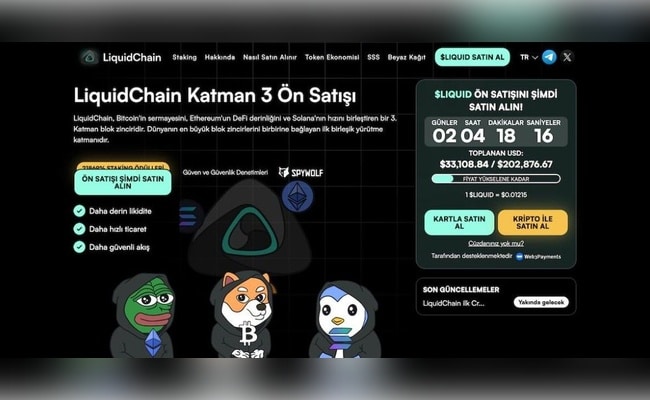 solana ağındaki coinler-LiquidChain