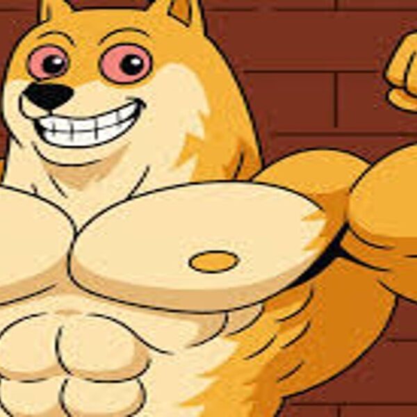 Maxi Doge, Yatırımcıların Radarında: Erken Giriş Fırsatı ve 1.000x Beklentisi