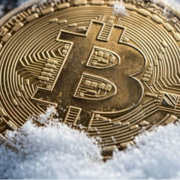 Bitcoin İçin Kasım Tarihi Ay: Boğa Sezonu Yeniden mi Başlıyor?