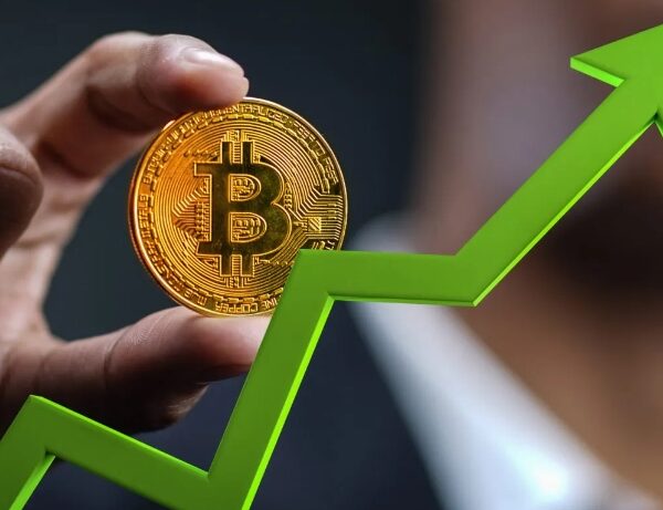 Bitwise CEO’suna Göre Gerçek Bitcoin Boğa Piyasası Neden Ancak 2026’da Başlayacak?
