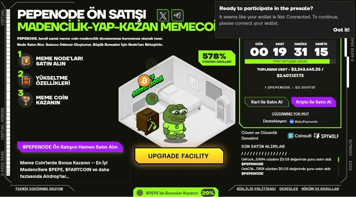 PepeNode’un Strateji Tabanlı Oynanışı Neden Bu Kadar İlgi Görüyor?