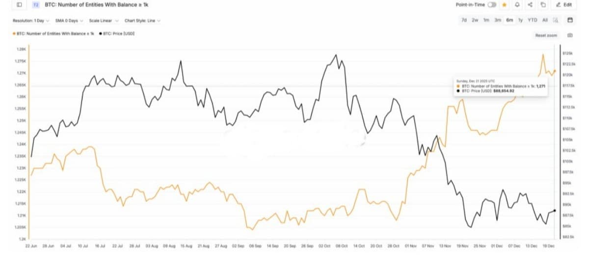 btc işlem grafiği
