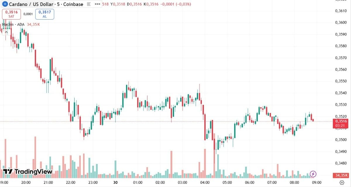 cardano işlem grafiği