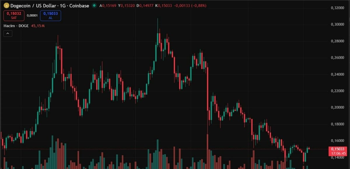 dogecoin işlem grafiği