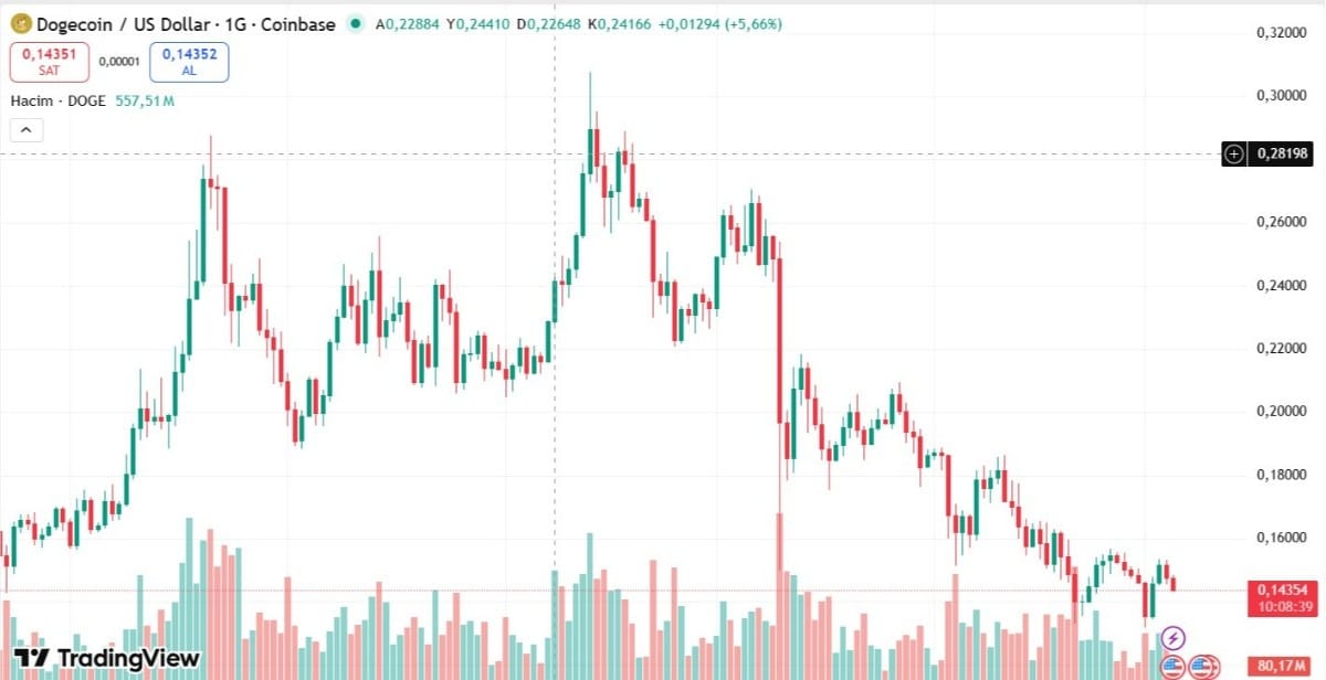 dogecoin işlem grafiği