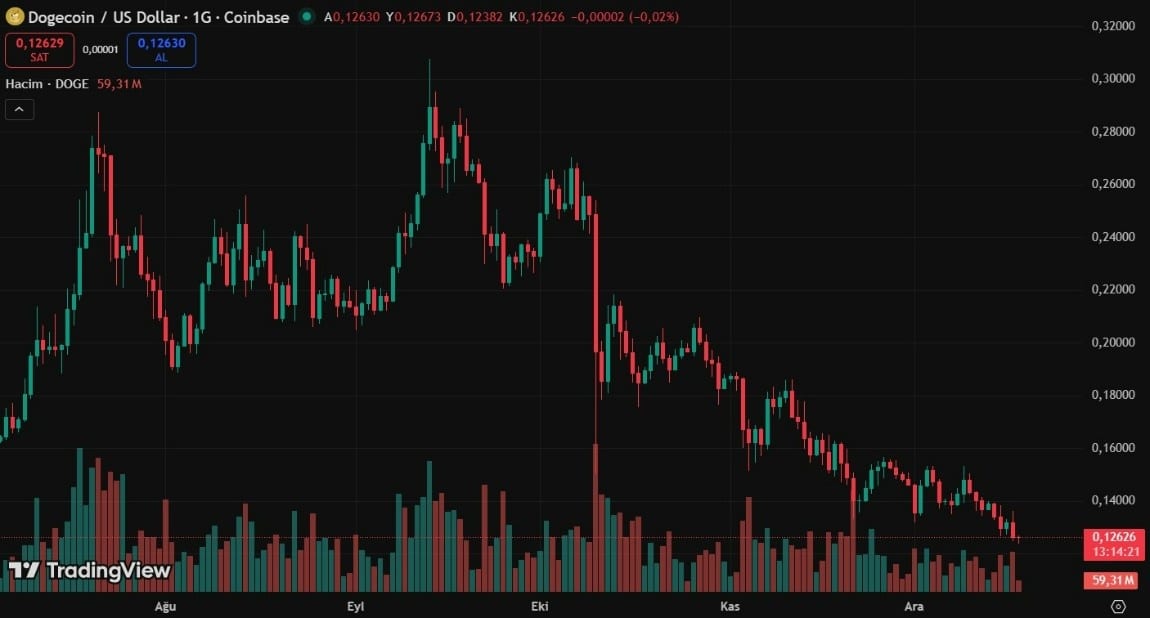dogecoin işlem grafiği