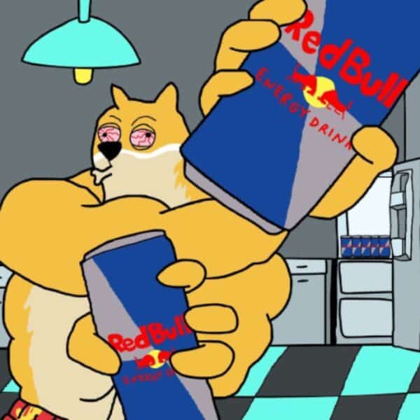 Dogecoin 12. Yılını Kutlarken Maxi Doge Sıradaki Büyük Yükselişe Göz Kırpıyor