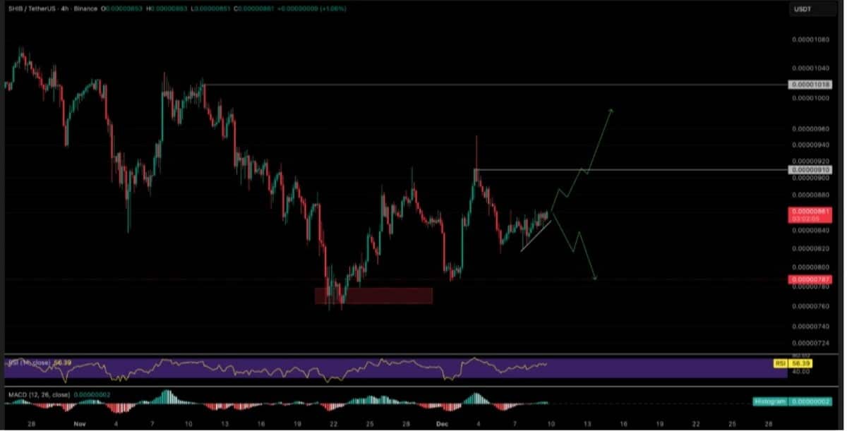 shıba ınu işlem grafiği