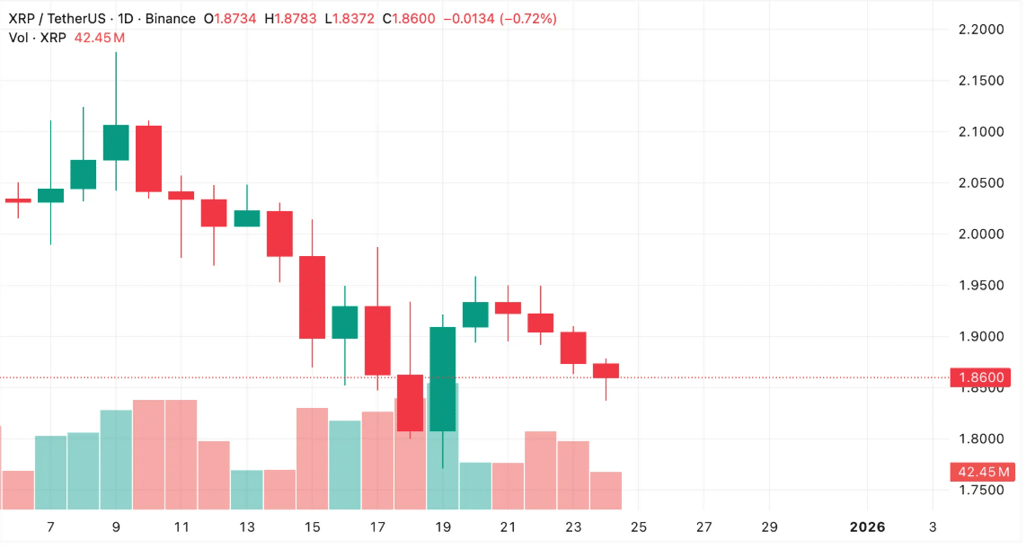 xrp işlem grafiği