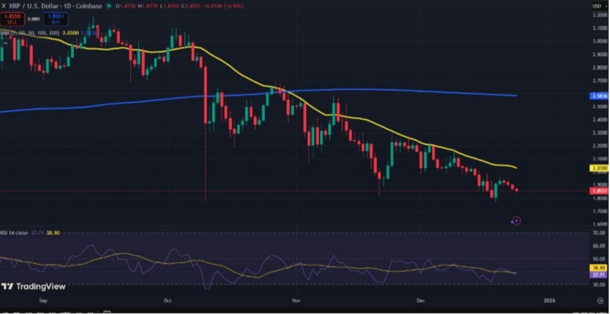 xrp teknik analiz grafiği