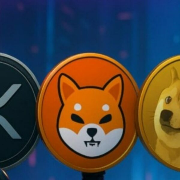 XRP, Dogecoin ve Shiba Inu: Sevgililer Günü Öncesi En İyi Kripto Fırsatları
