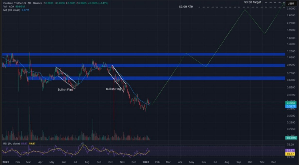cardano işlem grafiği
