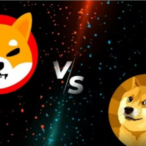 Dogecoin ve Shiba Inu: 2026 Analizi Hangi Meme Coin Daha Karlı?