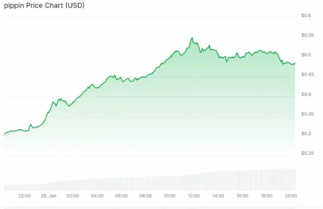 pippin coin işlem grafiği