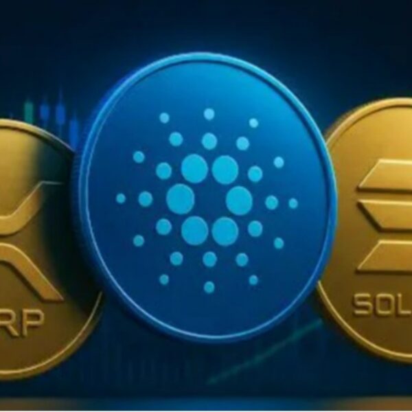 XRP, Solana ve Cardano: 14 Şubat Sevgililer Günü Öncesi En İyi Kripto Fırsatları