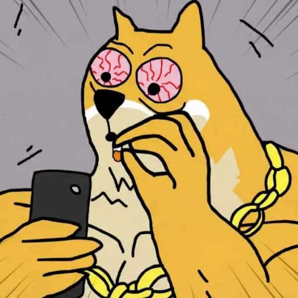 Dogecoin Dip mi Yaptı? Maxi Doge ve DOGE 1 Dolar Olur mu?