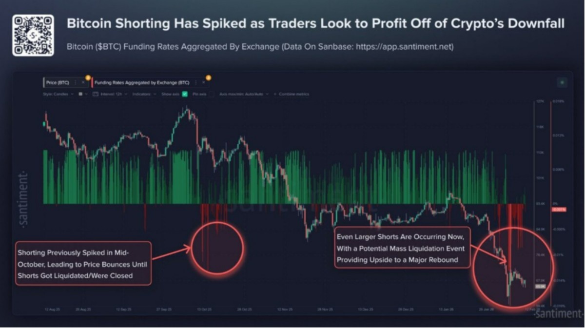 bitcoin borsa fonları