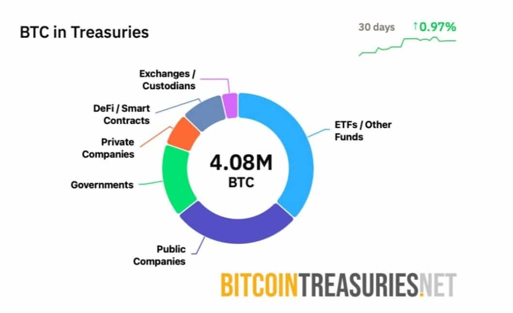 Burry btc analizi