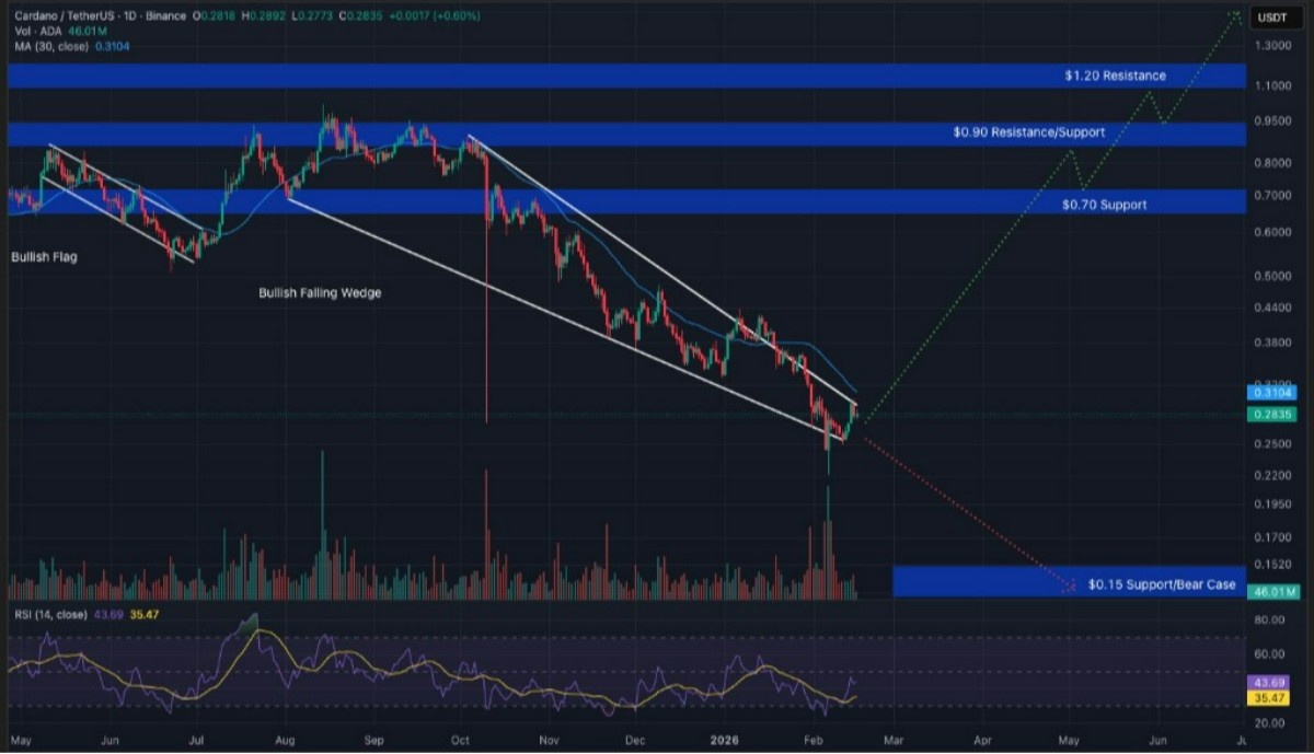 cardano işlem grafiği