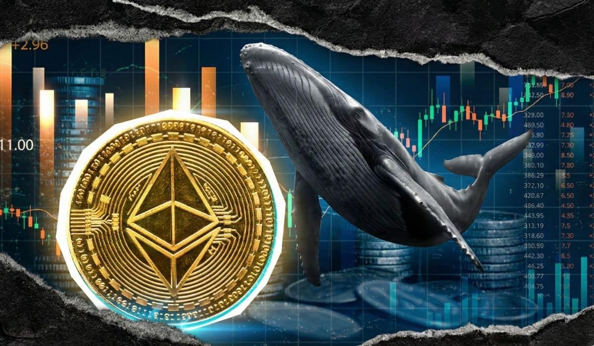 Ethereum Fiyatı İçin Agresif ETH Akümülasyonu! Dev Balinalar Alımda