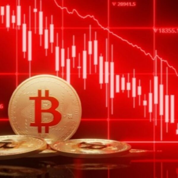 Kripto Piyasasında Altcoinler Kırmızı Alarm: 2026 Ayı Piyasası