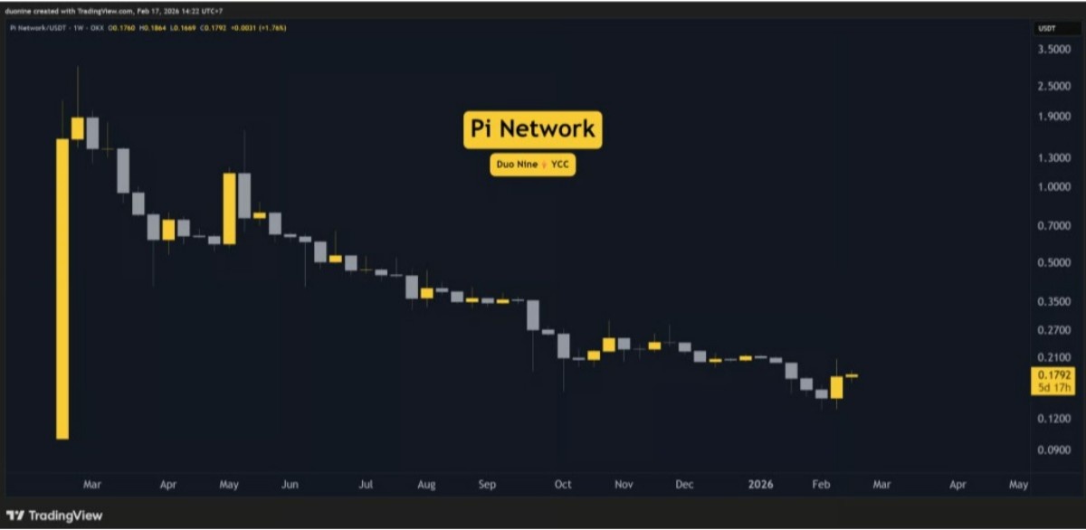pi network analiz grafiği