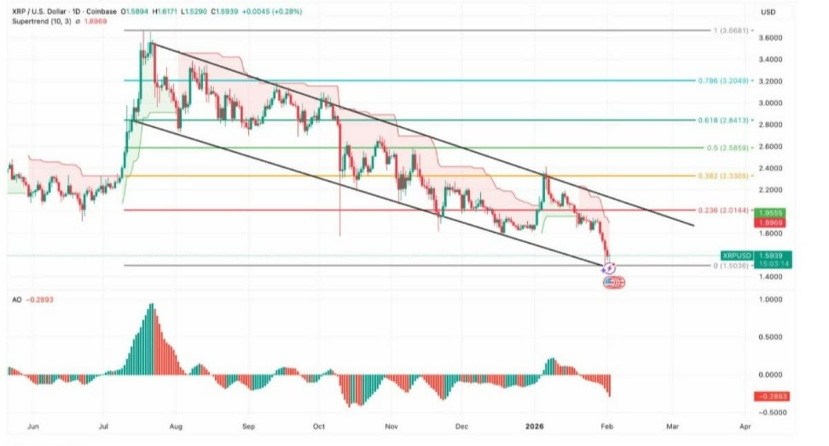 xrp işlem grafiği