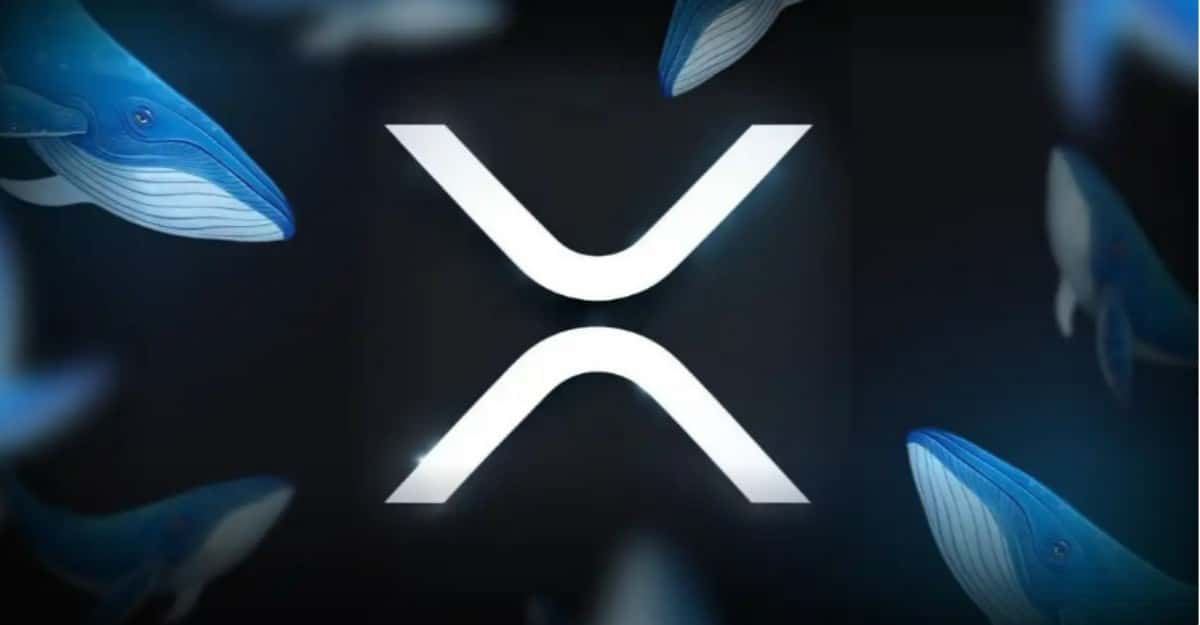 XRP: IMF’nin Hiç Tamamlayamadığı Küresel Para Birimi mi? Ripple ve 37 Yıllık Plan