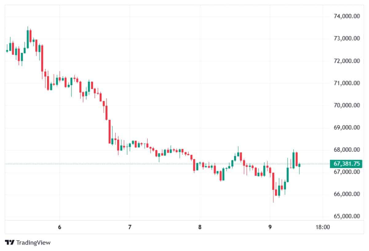 BTC FİYAT HAREKETİ
