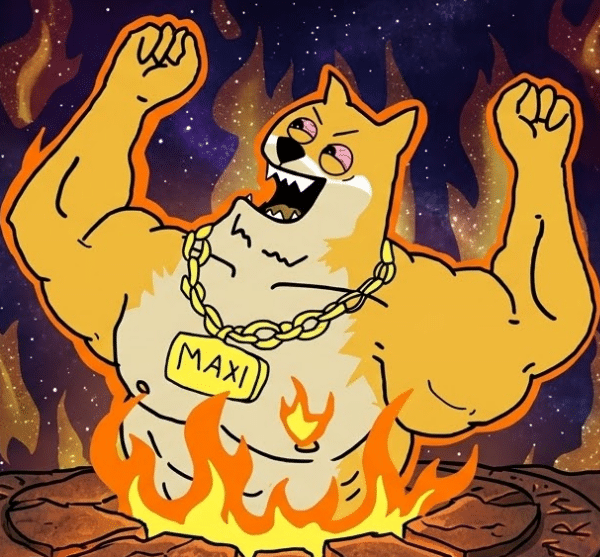 Meme Coin Çılgınlığı Geri Döndü! Köpek Temalı Projeler Şahlanıyor