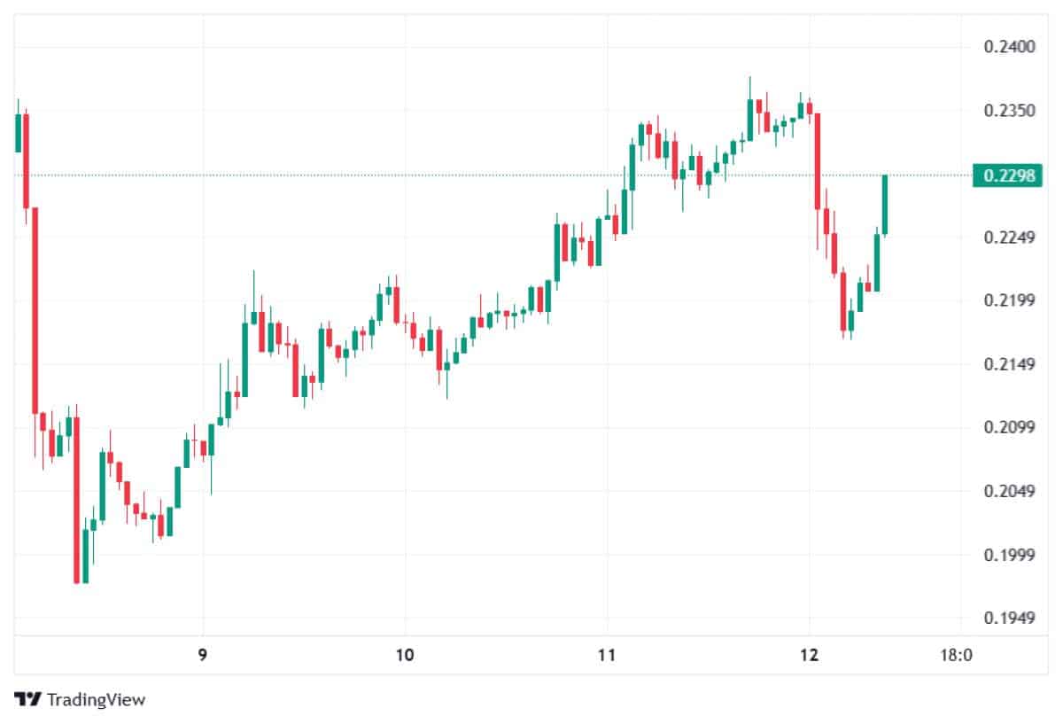 Pi Coin 12 mart 2026